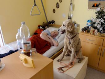 Berri am Krankenbett